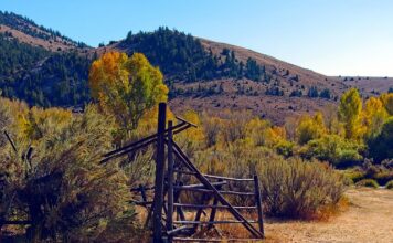 Jak wygląda siding? Jak wygląda siding?