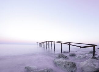 Co powiedział Platon?