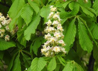 Czy matura z filozofii jest trudna?