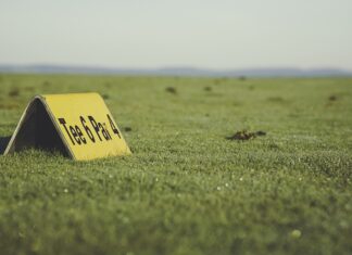 Gdzie kupić oryginalna koszulkę Lewandowskiego?
