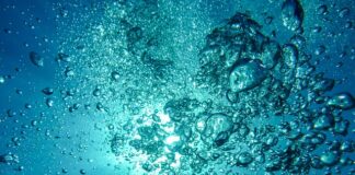 Ile kosztuje cały sprzęt do nurkowania?