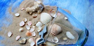 Ile razy w tygodniu ćwiczyć plecy?