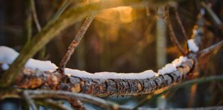 Ile balastu do suchego skafandra?