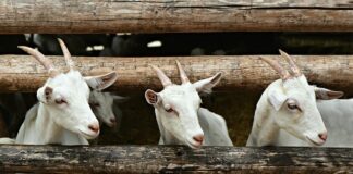 Ile kosztuje eksploatacja roweru elektrycznego?