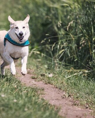 W czym biegać latem?