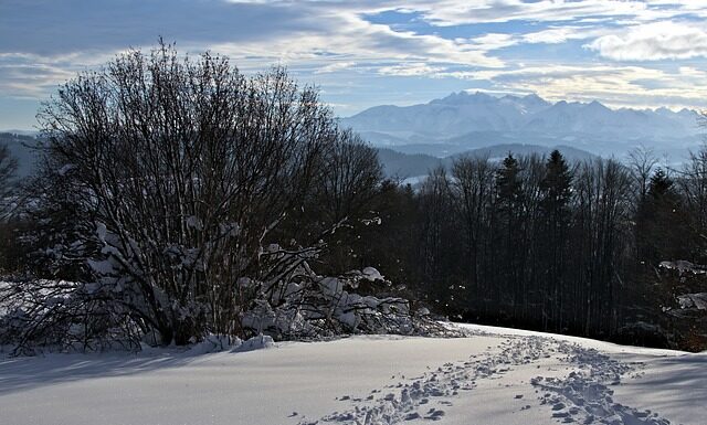 W co się ubrać na biegówki? W co się ubrać na biegówki?