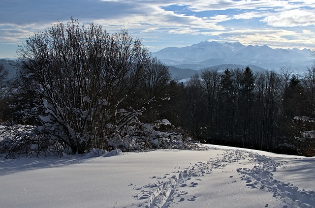 W co się ubrać na biegówki? W co się ubrać na biegówki?